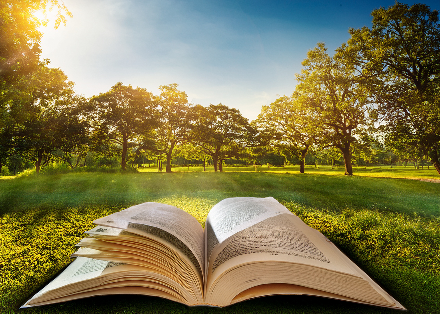 Letras e Atividades e Tudo Mais: Férias